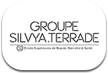 Logo Group Silvya Terrade