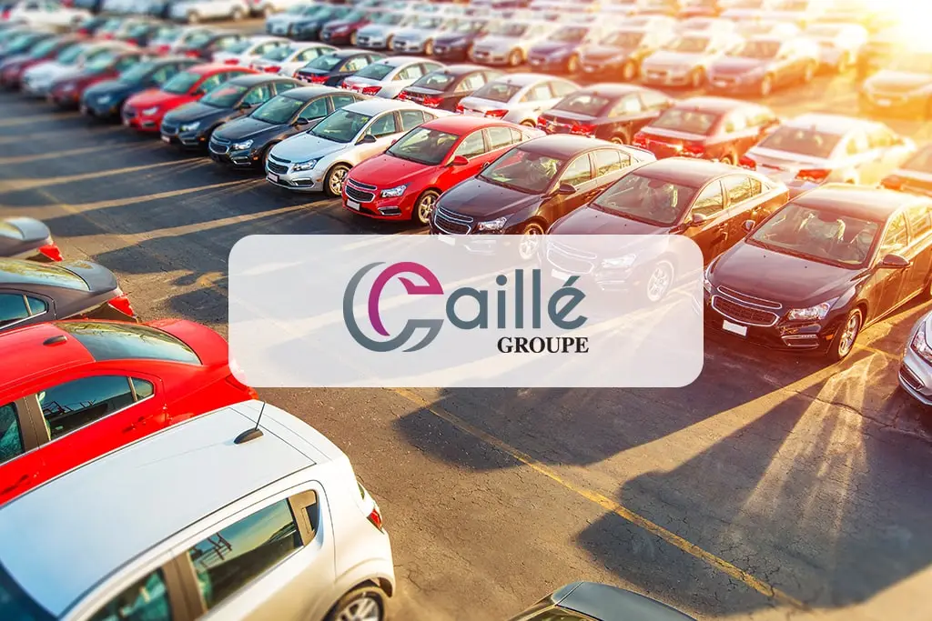 Groupe Caille auto plateforme distrigo